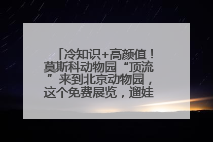 冷知识+高颜值！莫斯科动物园“顶流”来到北京动物园，这个免费展览，遛娃拍照两不误！
